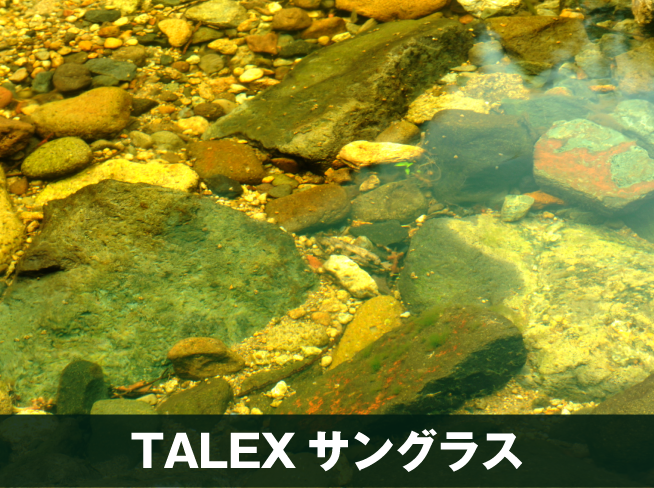 TALEXで水面に反射が消えた視界