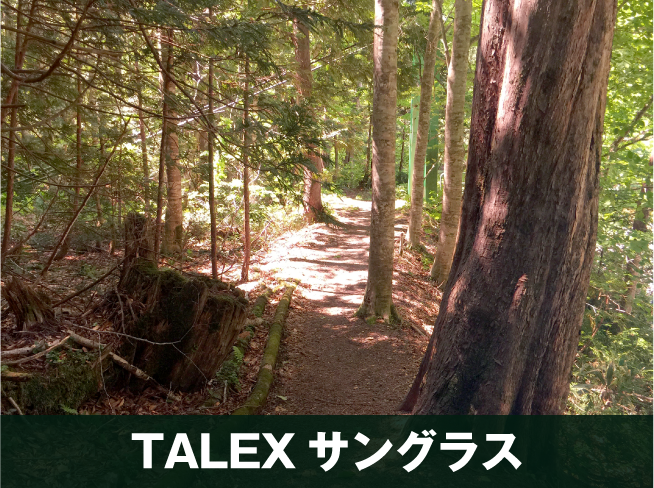 TALEXサングラスでまぶしさが抑えられ見やすくなった視界